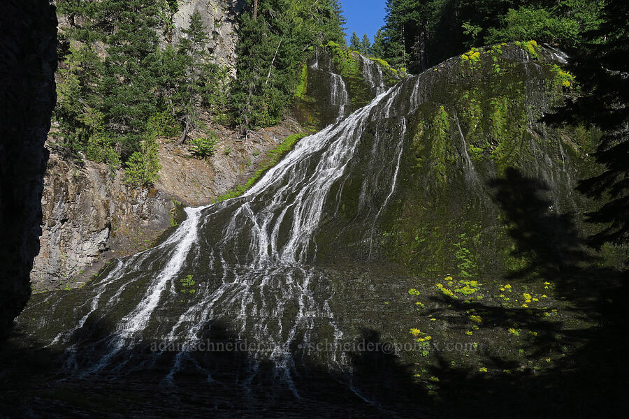 Walupt Creek Falls [Cispus River Canyon, Goat Rocks Wilderness, Lewis County, Washington]