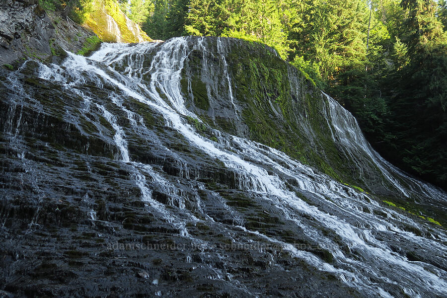 Walupt Creek Falls [Cispus River Canyon, Goat Rocks Wilderness, Lewis County, Washington]