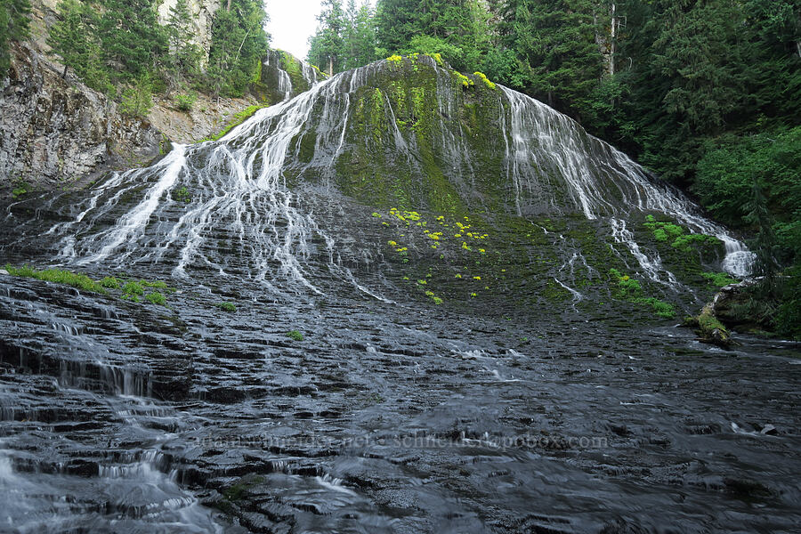 Walupt Creek Falls [Cispus River Canyon, Goat Rocks Wilderness, Lewis County, Washington]