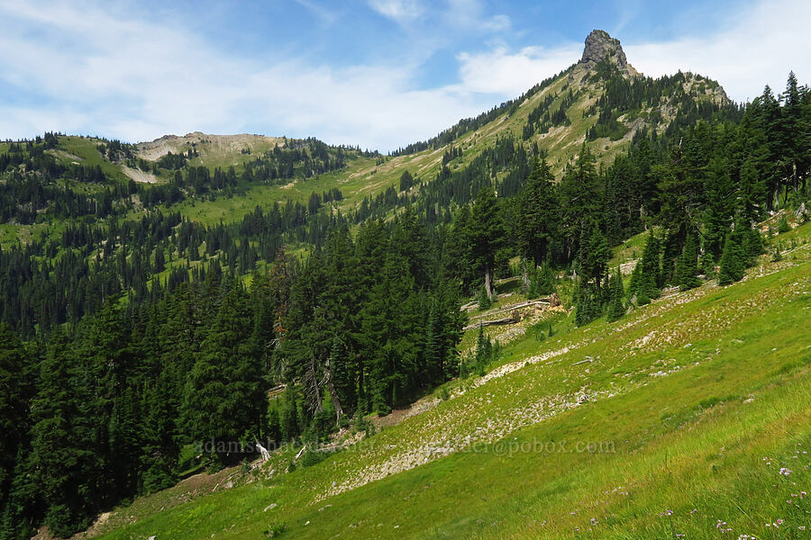 volcanic plug & Nannie Creek Basin [Pacific Crest Trail, Goat Rocks Wilderness, Lewis County, Washington]