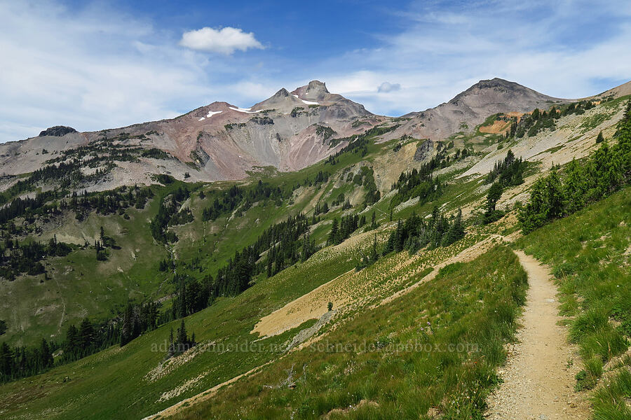 Ives Peak & Cispus Basin [Cispus Pass, Goat Rocks Wilderness, Lewis County, Washington]