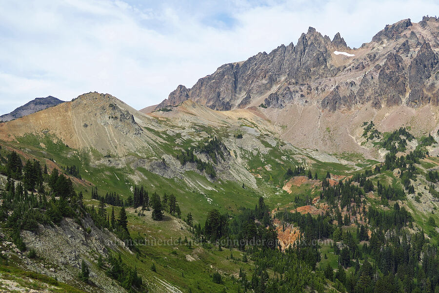 east side of Cispus Pass [Pacific Crest Trail, Goat Rocks Wilderness, Yakima County, Washington]