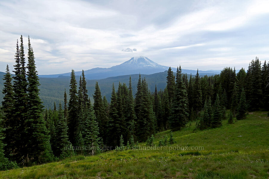 Mount Adams [Nannie Peak, Goat Rocks Wilderness, Lewis County, Washington]
