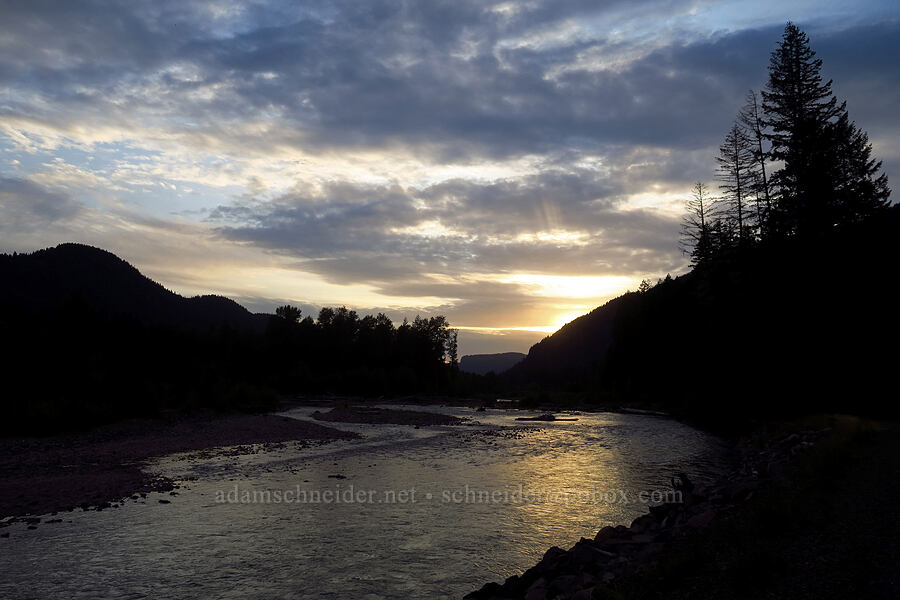Cispus River [Forest Road 23, Gifford Pinchot National Forest, Lewis County, Washington]