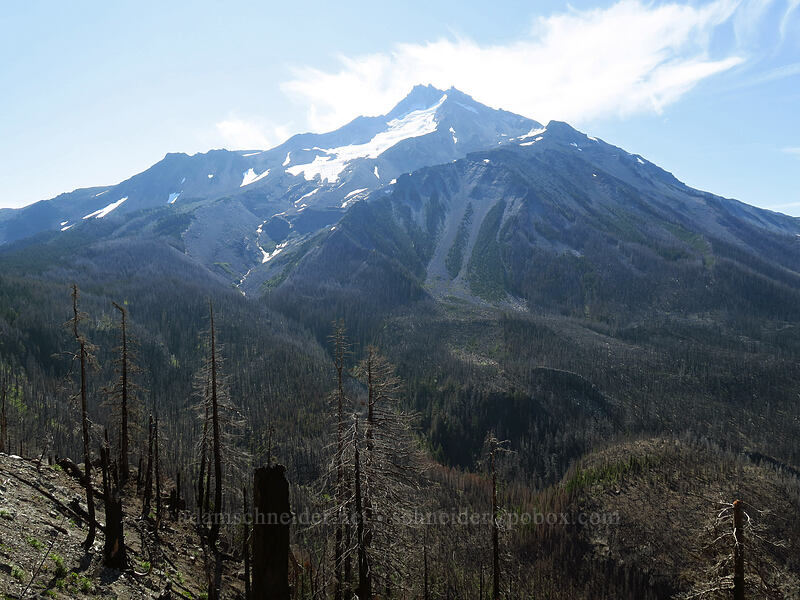 Mount Jefferson [Whitewater Trail, Mt. Jefferson Wilderness, Marion County, Oregon]