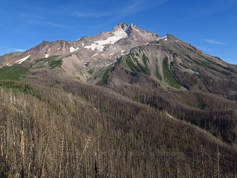 Mount Jefferson [Whitewater Trail, Mt. Jefferson Wilderness, Marion County, Oregon]