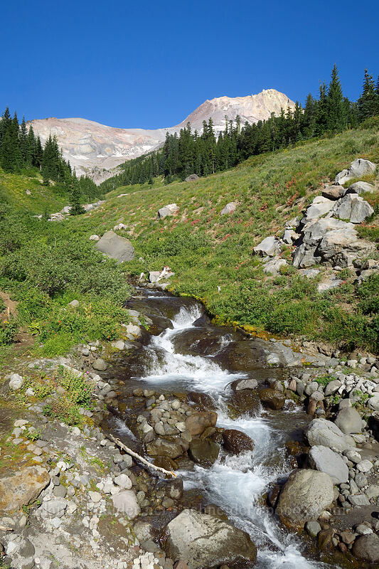 Heather Creek [Heather Canyon, Mt. Hood National Forest, Hood River County, Oregon]