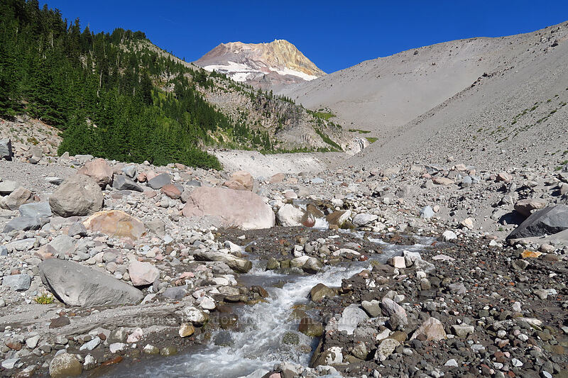 Clark Creek Canyon [Timberline Trail, Mt. Hood National Forest, Hood River County, Oregon]