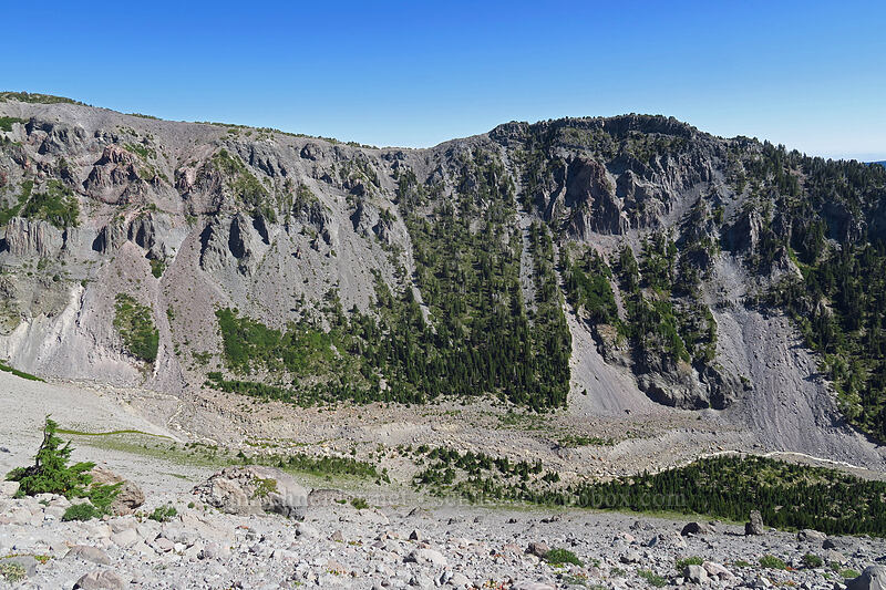 Gnarl Ridge & Lamberson Butte [Newton Clark Ridge, Mt. Hood Wilderness, Hood River County, Oregon]
