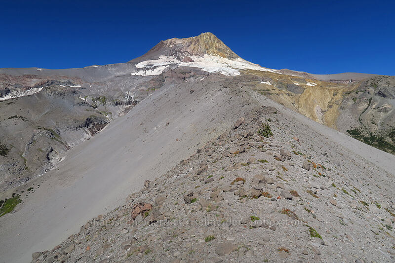 Newton Clark Ridge & Mount Hood [Newton Clark Ridge, Mt. Hood Wilderness, Hood River County, Oregon]