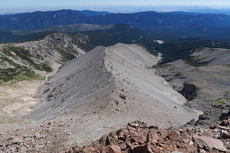 Newton Clark Ridge [Newton Clark Ridge, Mt. Hood Wilderness, Hood River County, Oregon]