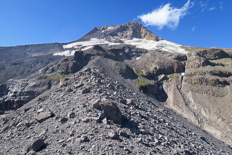 Newton Clark Ridge & Mount Hood [Newton Clark Ridge, Mt. Hood Wilderness, Hood River County, Oregon]
