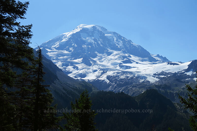 Mount Rainier [Eagle Cliff Viewpoint, Mount Rainier National Park, Pierce County, Washington]