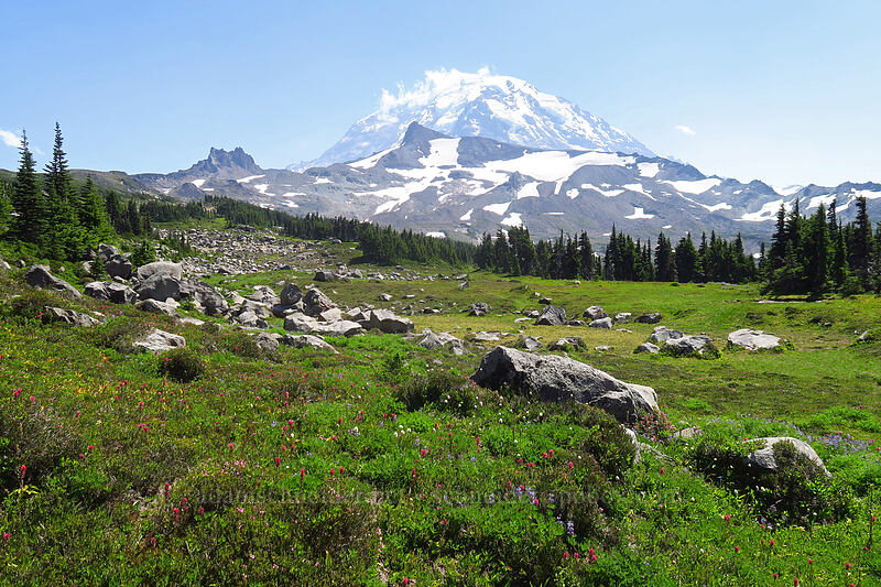 Mt. Rainier & subalpine meadows [Spray Park Trail, Mount Rainier National Park, Pierce County, Washington]