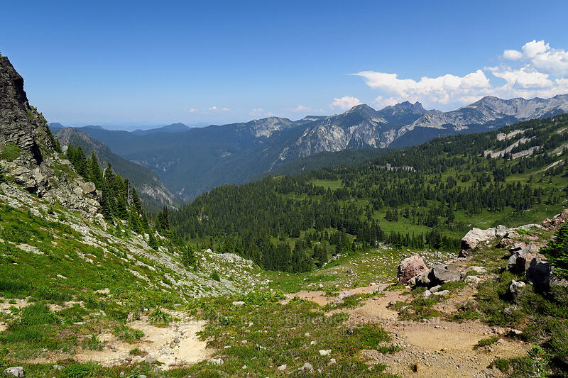 Mist Park [Knapsack Pass Trail, Mount Rainier National Park, Pierce County, Washington]
