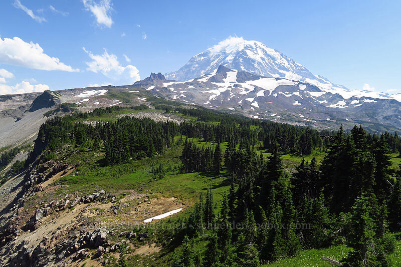 Mount Rainier [Knapsack Pass Trail, Mount Rainier National Park, Pierce County, Washington]