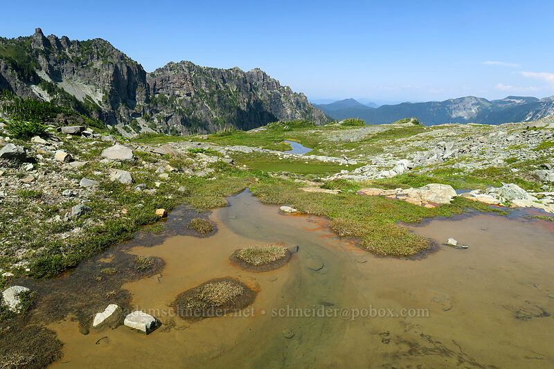 snowmelt pools [Knapsack Pass Trail, Mount Rainier National Park, Pierce County, Washington]