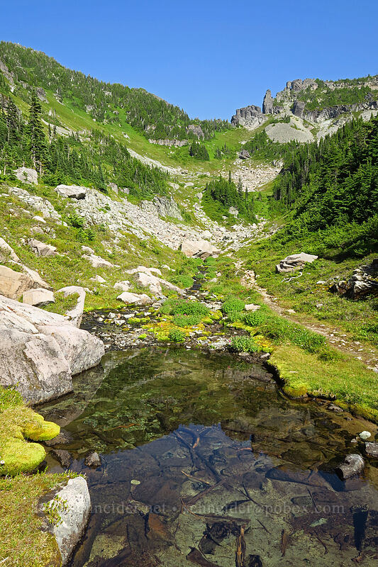 stream west of Knapsack Pass [Knapsack Pass Trail, Mount Rainier National Park, Pierce County, Washington]