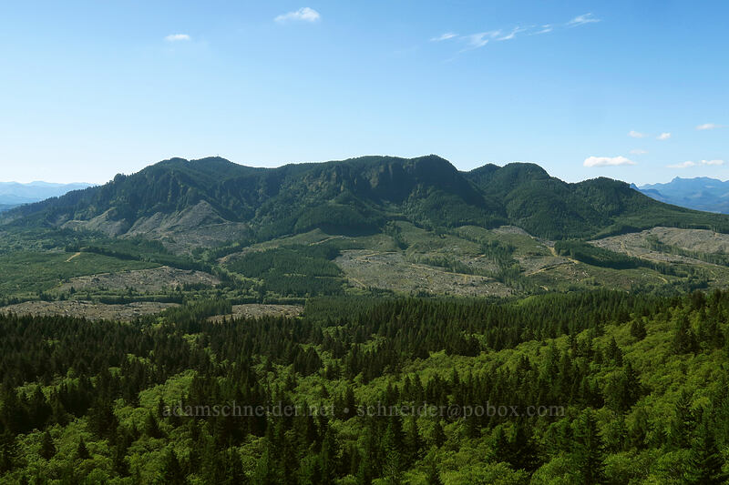 Humbug Mountain [Saddle Mountain Trail, Saddle Mountain Natural Area, Clatsop County, Oregon]