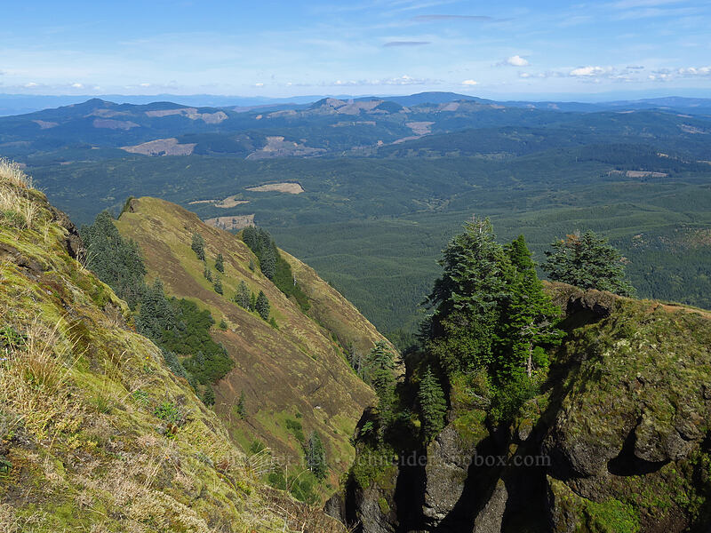 view to the northeast [Saddle Mountain Trail, Saddle Mountain Natural Area, Clatsop County, Oregon]