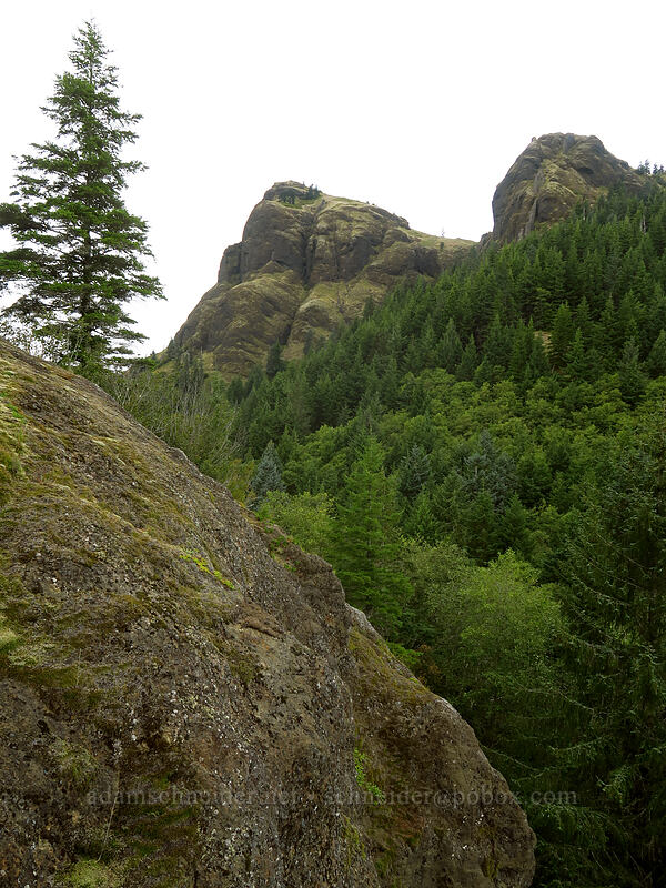 Saddle Mountain's summit [Humbug Mountain Viewpoint, Saddle Mountain Natural Area, Clatsop County, Oregon]