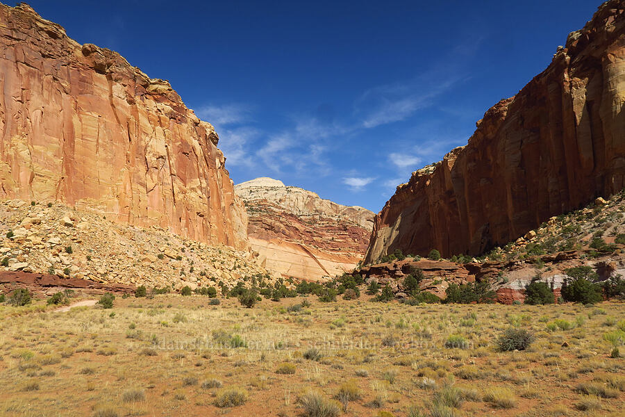 Capitol Gorge [Capitol Gorge Trail, Capitol Reef National Park, Wayne County, Utah]
