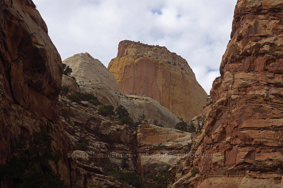 Golden Throne [Capitol Gorge Road, Capitol Reef National Park, Wayne County, Utah]