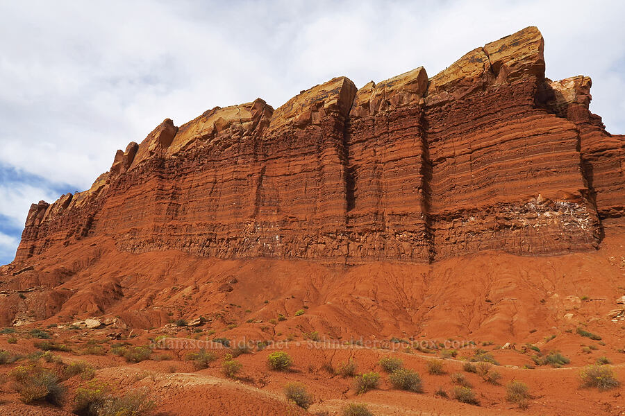 sandstone cliffs [Capitol Reef Scenic Drive, Capitol Reef National Park, Wayne County, Utah]