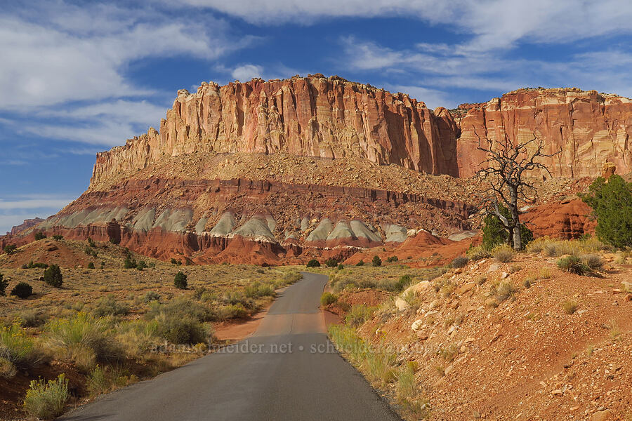sandstone cliffs [Capitol Reef Scenic Drive, Capitol Reef National Park, Wayne County, Utah]