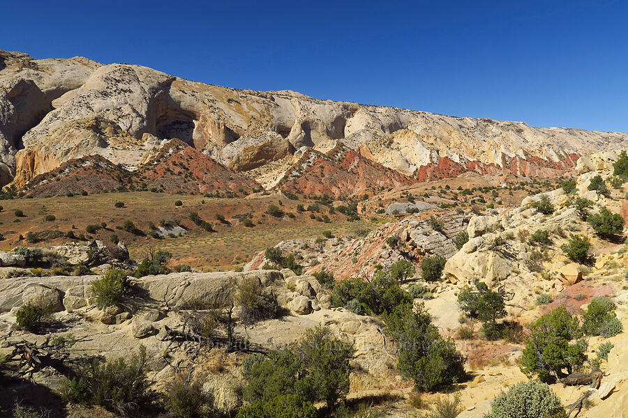 Waterpocket Fold [Notom-Bullfrog Road, Capitol Reef National Park, Garfield County, Utah]