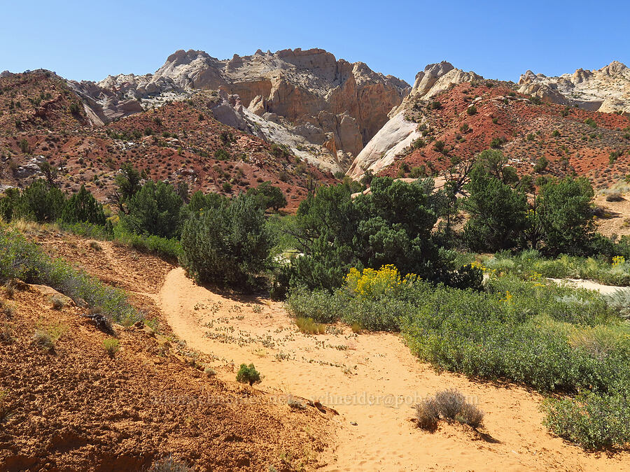 mouth of Surprise Canyon [Surprise Canyon Trail, Capitol Reef National Park, Garfield County, Utah]
