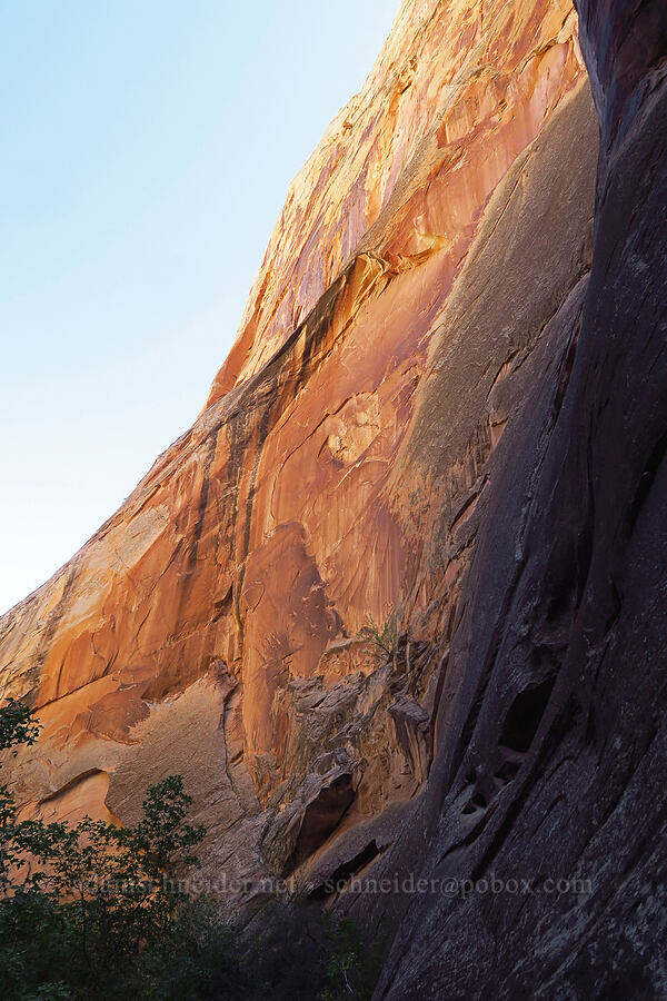 sandstone walls [Surprise Canyon Trail, Capitol Reef National Park, Garfield County, Utah]