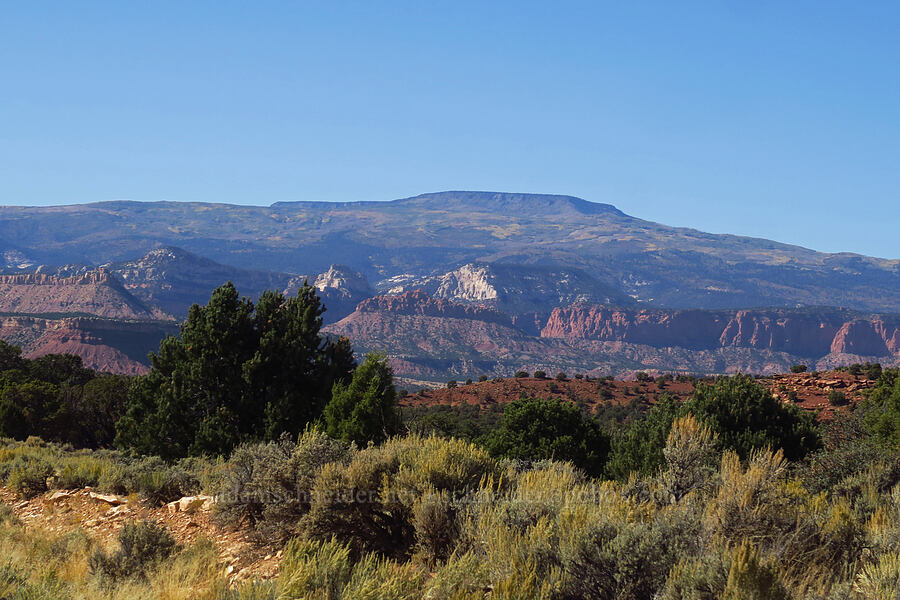 Boulder Mountain [Burr Trail Road, Grand Staircase-Escalante National Monument, Garfield County, Utah]