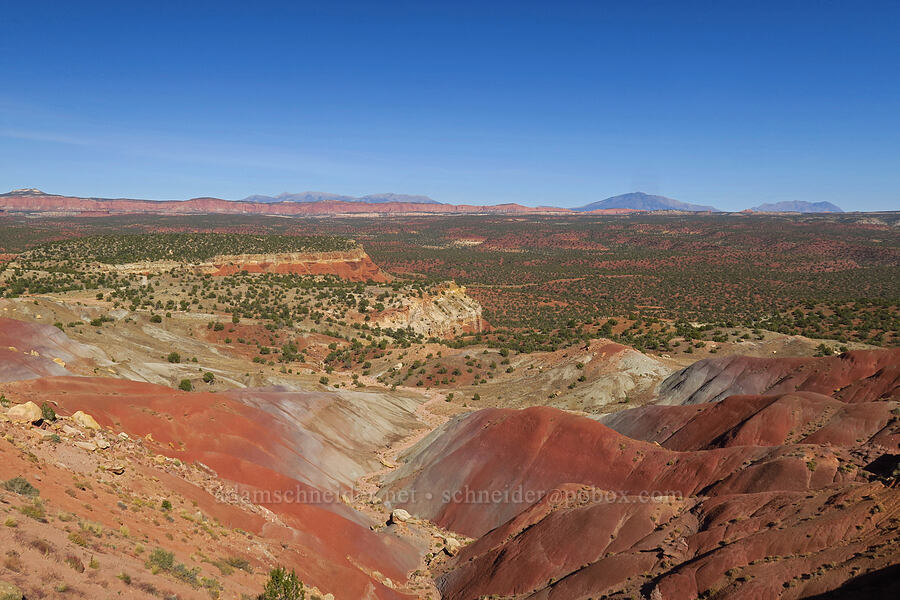 Circle Cliffs & The Flats [Long Canyon Overlook, Grand Staircase-Escalante National Monument, Garfield County, Utah]