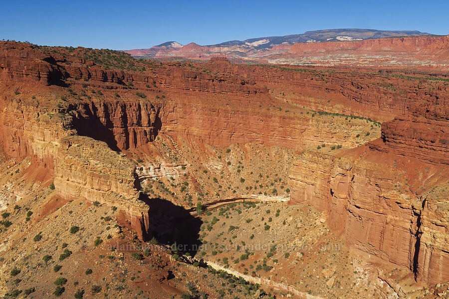 Sulphur Creek Canyon [Goosenecks Overlook, Capitol Reef National Park, Wayne County, Utah]