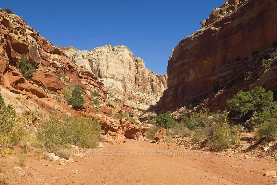 Grand Wash [Grand Wash, Capitol Reef National Park, Wayne County, Utah]