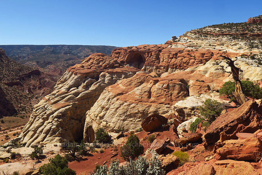 Cassidy Arch [Cassidy Arch Trail, Capitol Reef National Park, Wayne County, Utah]