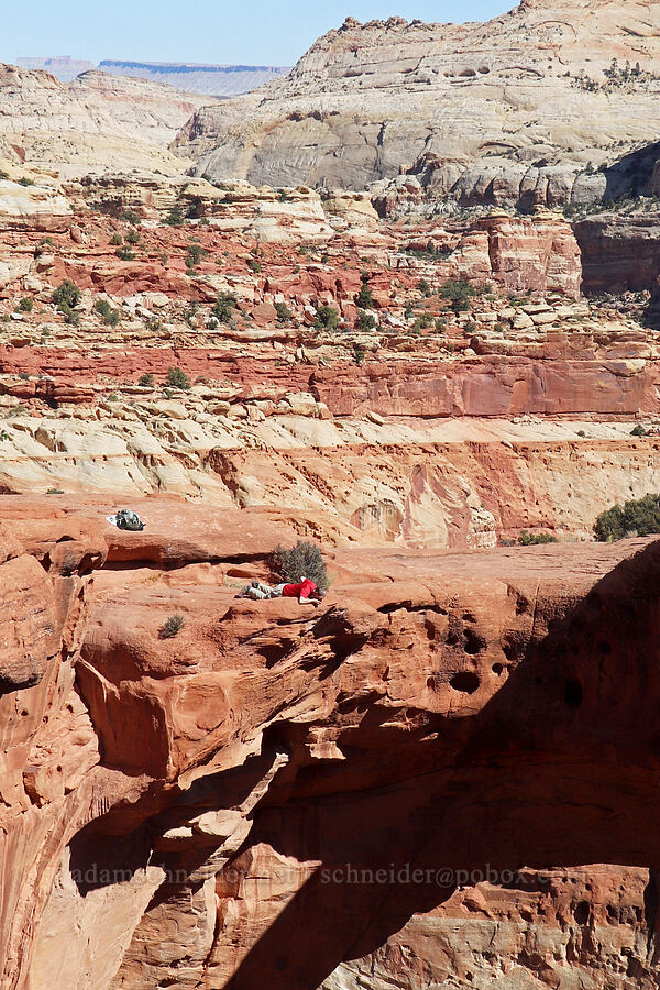 Adam [Cassidy Arch Trail, Capitol Reef National Park, Wayne County, Utah]