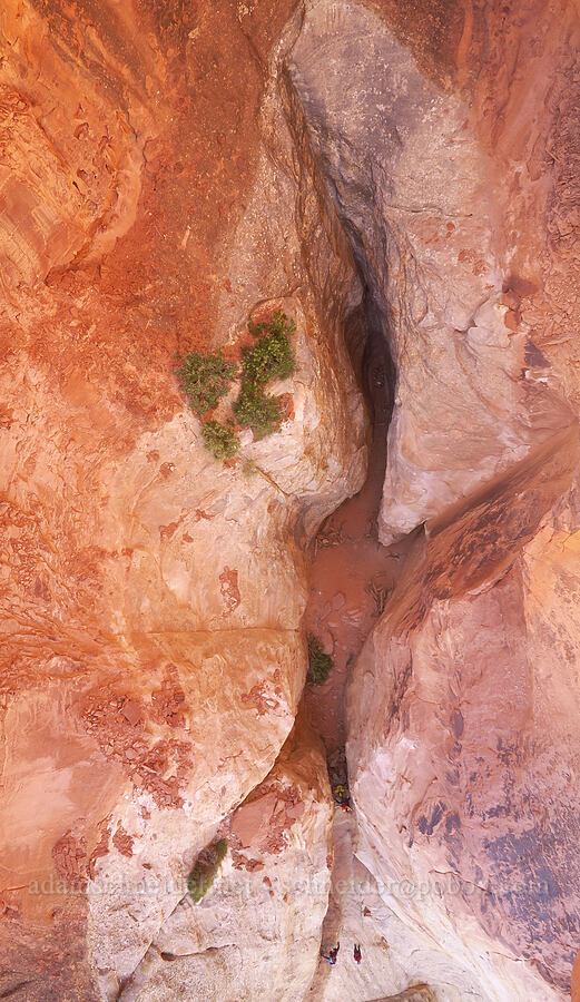 gulch beneath Cassidy Arch [Cassidy Arch Trail, Capitol Reef National Park, Wayne County, Utah]