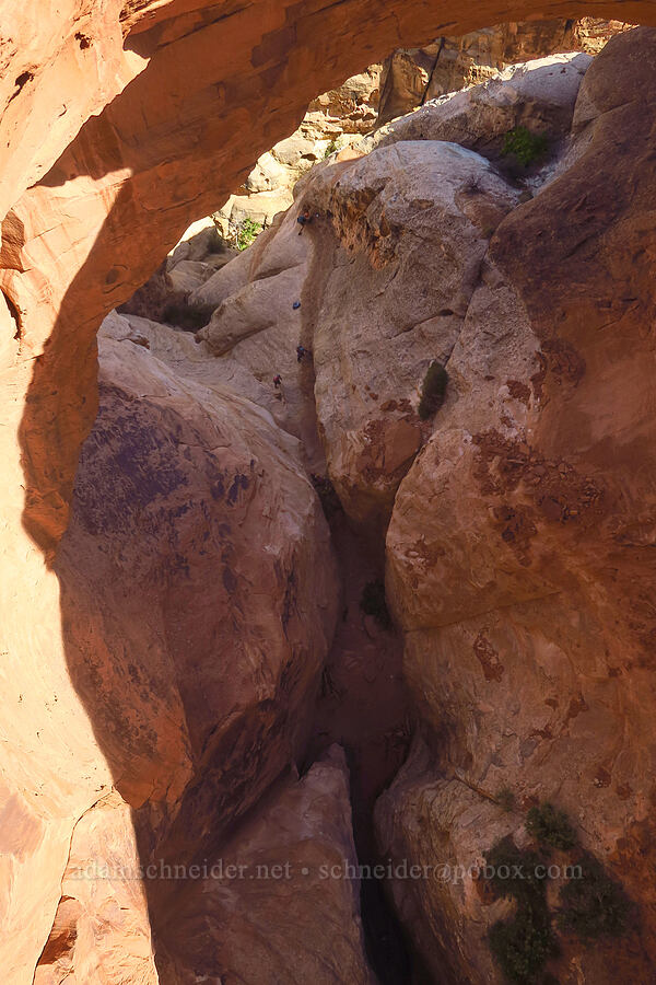 below Cassidy Arch [Cassidy Arch Trail, Capitol Reef National Park, Wayne County, Utah]