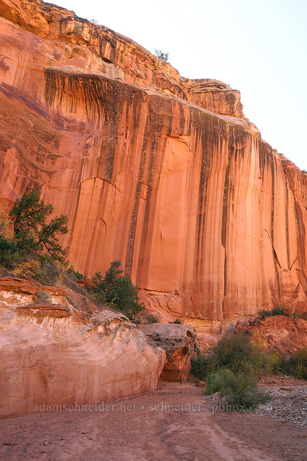 cliffs above Grand Wash [Grand Wash, Capitol Reef National Park, Wayne County, Utah]