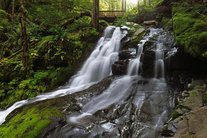 Horseshoe Falls [Siouxon Creek Trail, Gifford Pinchot National Forest, Skamania County, Washington]