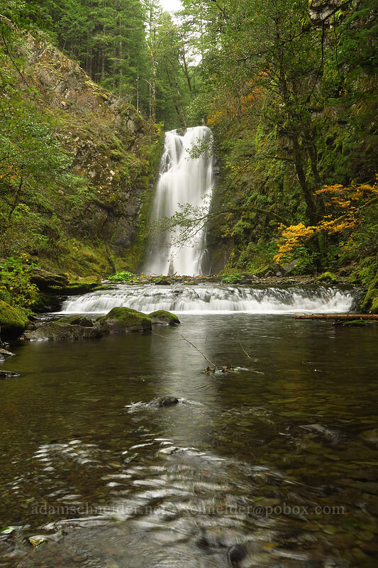 Chinook Falls [Siouxon Creek Trail, Gifford Pinchot National Forest, Skamania County, Washington]