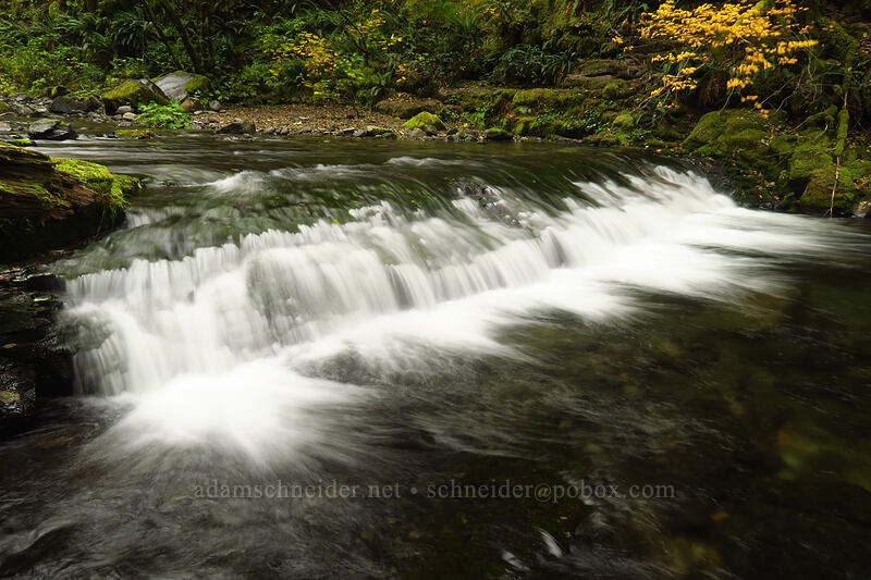 Chinook Creek [Siouxon Creek Trail, Gifford Pinchot National Forest, Skamania County, Washington]