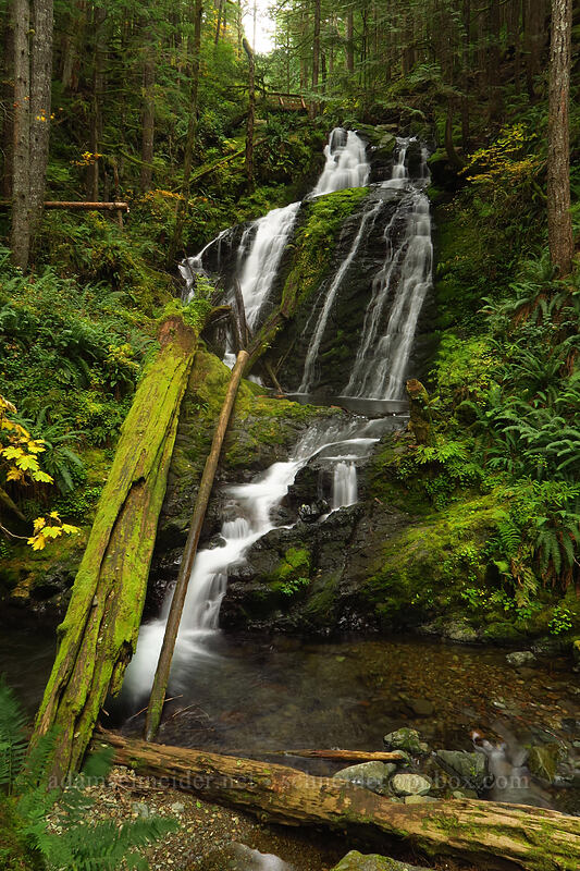 Horseshoe Falls [Siouxon Creek Trail, Gifford Pinchot National Forest, Skamania County, Washington]
