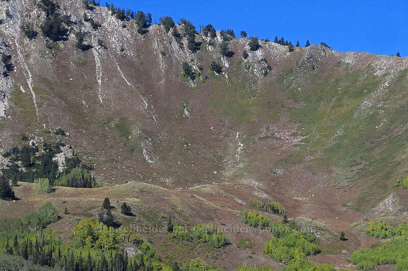 Mill A Basin [Mill A Basin Trail, Mount Olympus Wilderness, Salt Lake County, Utah]