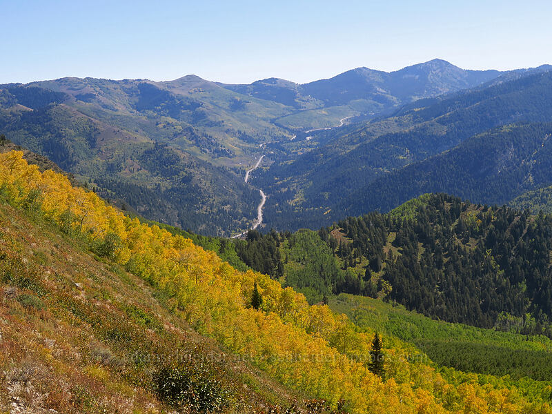 Big Cottonwood Canyon [Baker's Pass, Mount Olympus Wilderness, Salt Lake County, Utah]