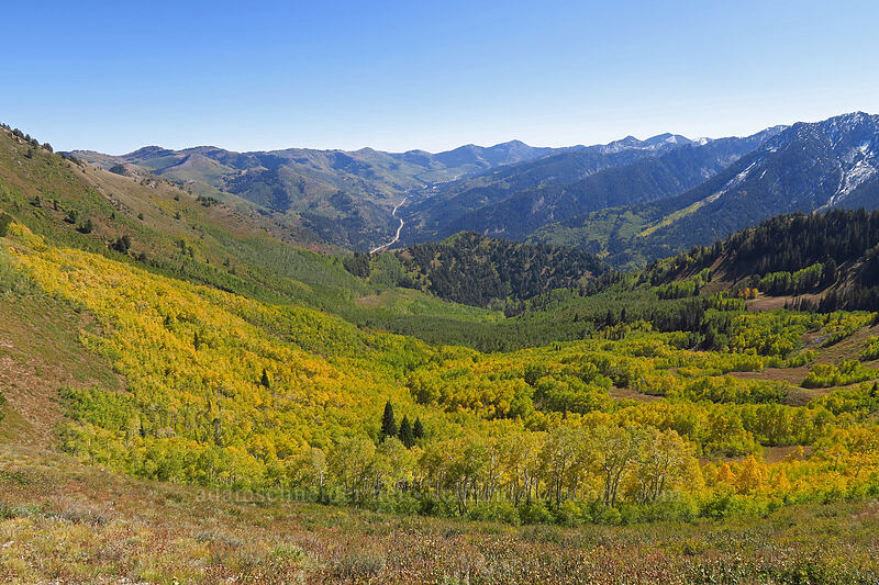 Mill A Basin & Big Cottonwood Canyon [Mount Raymond, Mount Olympus Wilderness, Salt Lake County, Utah]