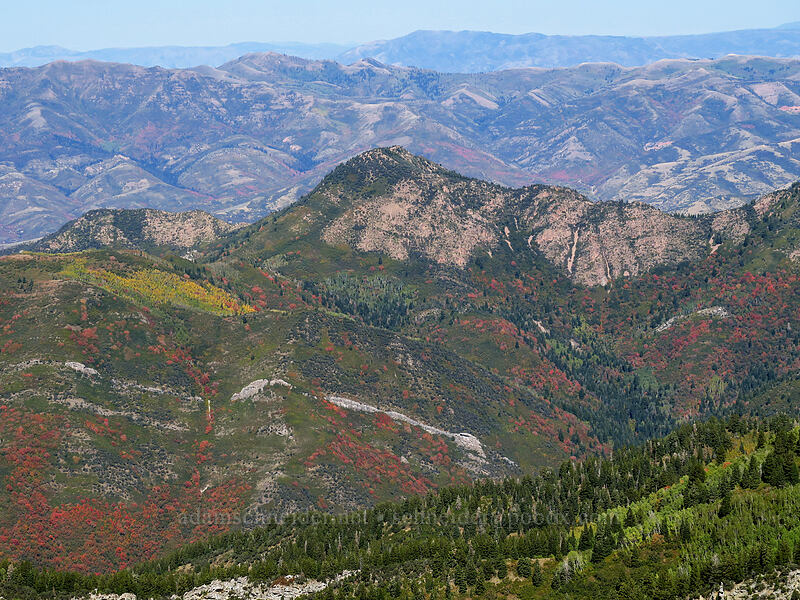 Mount Aire [Mount Raymond, Mount Olympus Wilderness, Salt Lake County, Utah]