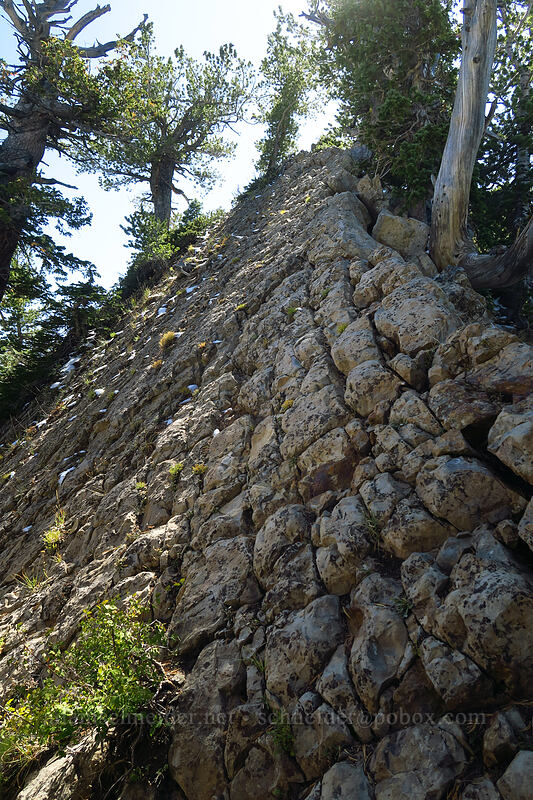scramble route [Mount Raymond, Mount Olympus Wilderness, Salt Lake County, Utah]